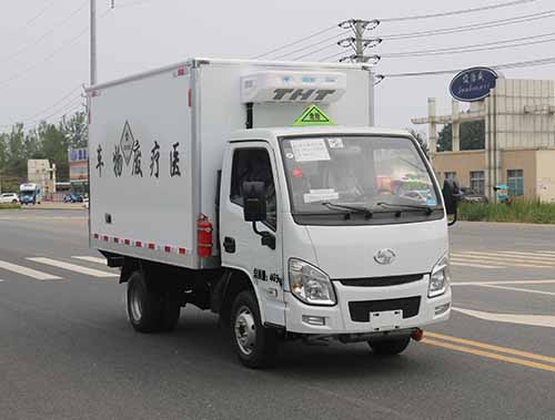躍進(jìn)小福星醫廢車(chē)15271321777